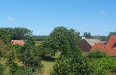 Lieblingsgast - Photo 30