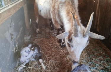 Bed and Bike Rheine - Foto 45