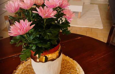 "Ninho de Amor" troglodyte unique - Foto 23