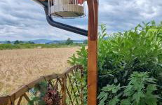 Charmdeen - Photo 24