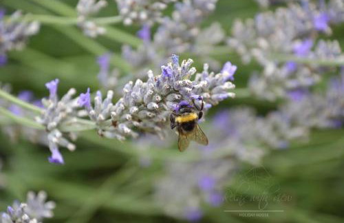Relax with view Holiday House - Foto 65
