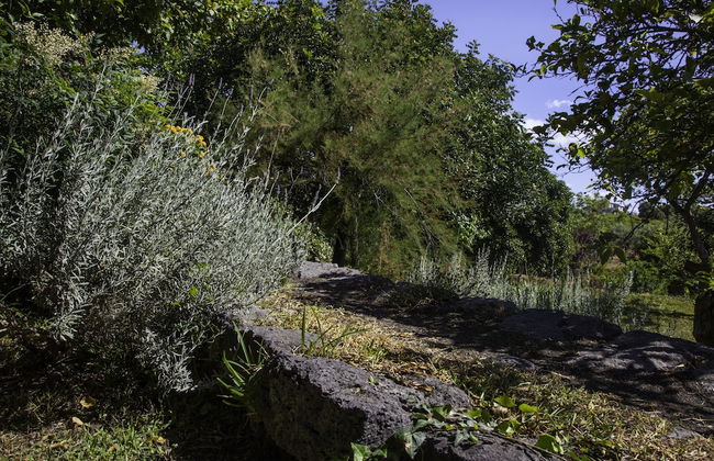 Tenuta Santa Tecla - Foto 71