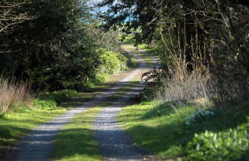 Home Farm Cottage - Foto 36