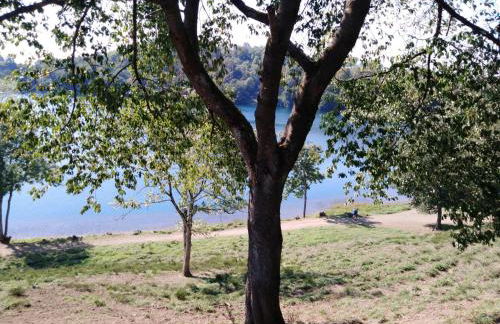 Apartment FeWo Sonnenblume by Interhome - Foto 29