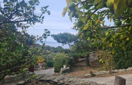 Les Terrasses du Maquis - Foto 10