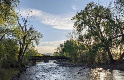 Mountain Jungalow Chalet, 3 min walk to Royal Gorge Train - Foto 25