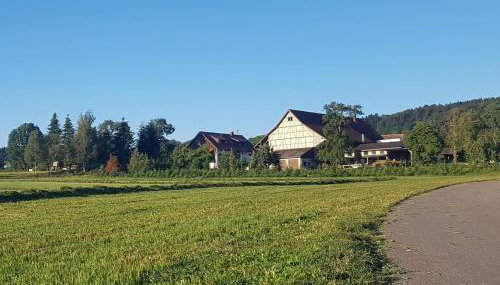Ferienhof Hanssler - Foto 1
