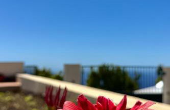 Moradia Abreu - Foto 30