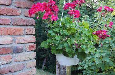 Hiža Golubić - Foto 29