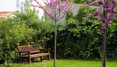 SG Costa BCN Apartments - Photo 5