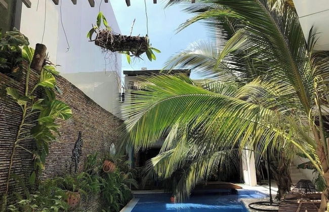 Résidence Ecologe - Photo 29