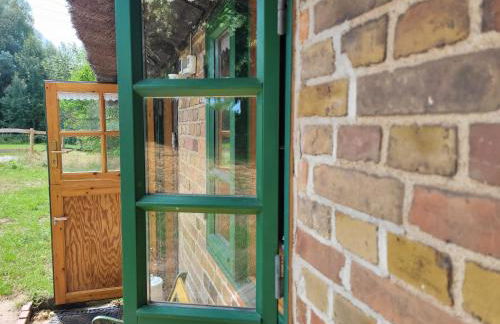 Ferienhof Schwalbennest OFC 24 - Foto 45