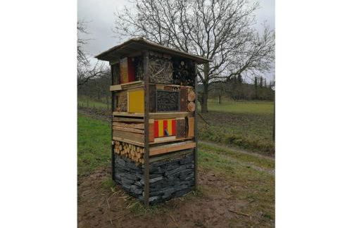 Mühlenhof - Riesling - Foto 21