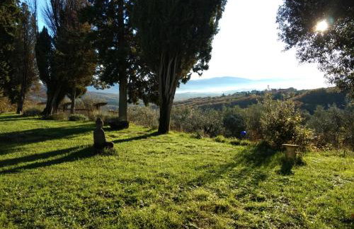 Galealpe - Toscana - Foto 15