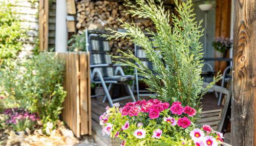 Apartment Casa Gina - Foto 2