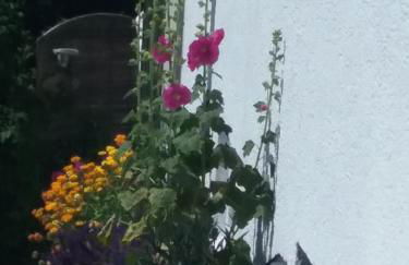 Perlenbachtal - Foto 28