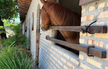 Hotel Fazenda Alta Vista - Photo 40