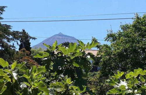 Casinha de Pedra - Photo 17