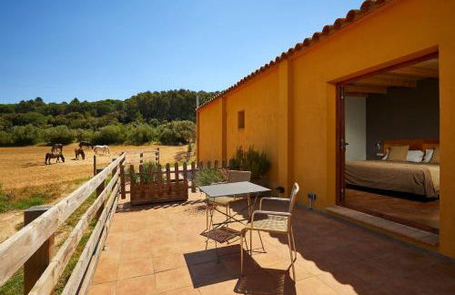 Can Barnosell - Els Masos d'en Coll - Foto 115