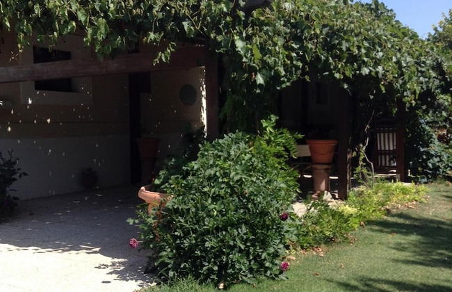 Agriturismo La Nora - Foto 32