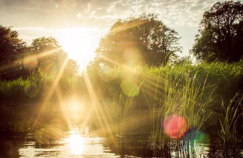 Gutshaus Krummin Usedom - Photo 67