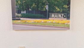 Wohnung im Landhausstil für Monteure in Budenheim - Foto 4