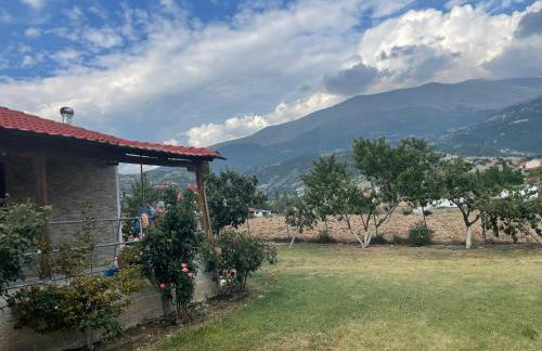 Villa Olympus - Photo 23