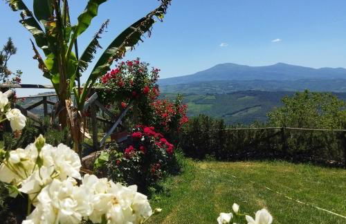 Poggio Al Vento - Foto 13