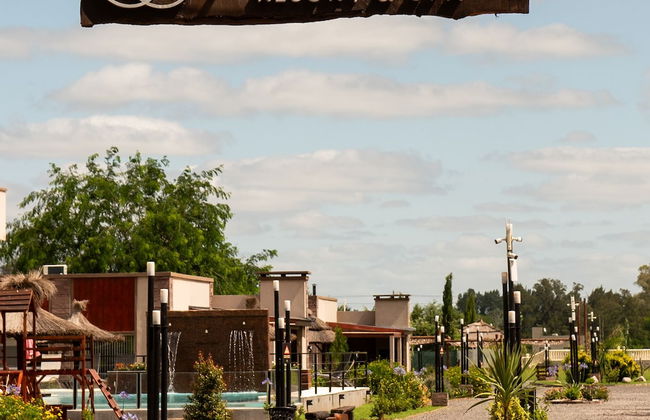 Olivos de Monte - Foto 1