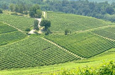 Just Langhe Casa Dolcetto - Foto 52