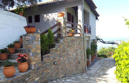 Ammos papanero - Foto 53