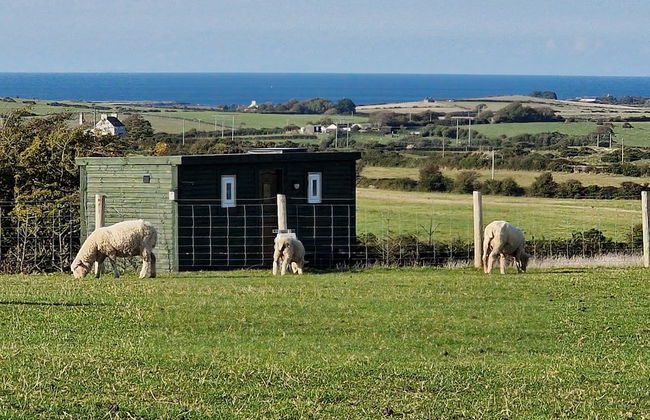 Stunning 1-bed Shepherd hut - Foto 27