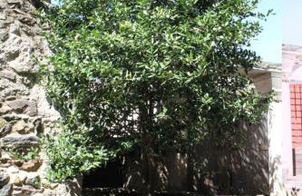 Cabachuelas I casas rurales - Foto 25