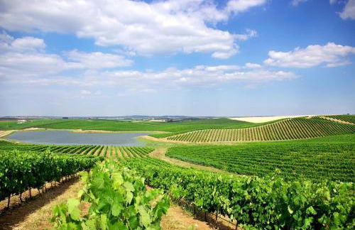 Villa Comporta - Foto 41