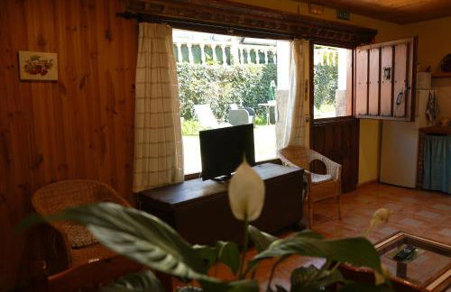 El arroyo del valle - Foto 47