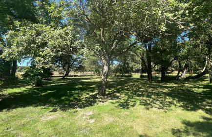 Gîtes de charme "l'écrin de Vendée" jacuzzi privatif, piscine chauffée, prestations bien être, vélos à 10 mn de l'océan sur 3,5 h de verdure - Photo 40