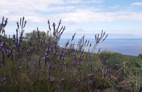 casa mariposa - Foto 32