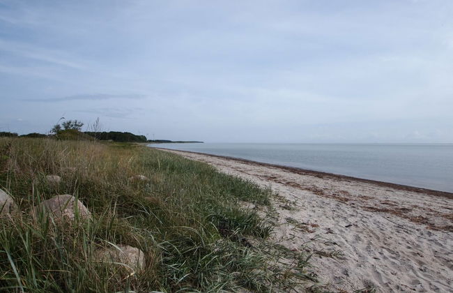 "Joran" - 120m from the sea - Foto 4