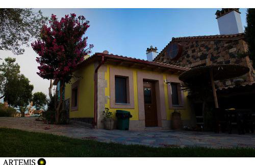 Medusa Gorgon - Photo 25