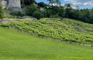 Gîte la Maison de Fram - Foto 33