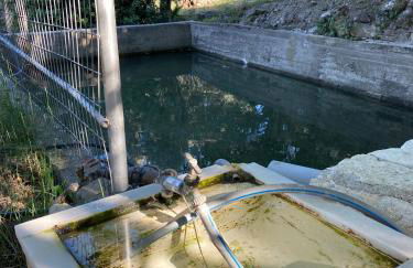 Villa Daskalogianni - Foto 37