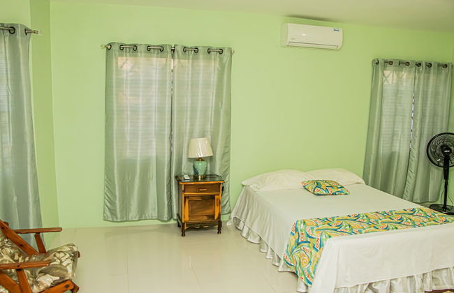 CARNATION 156 - Foto 2