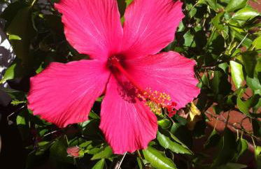 Il Casalone - Foto 56