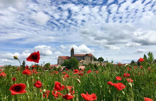 himmlischer Hof - Juwel von 1477 mit P, romantischer Innenhof, Kamin, Öko, Denkmal - Foto 37