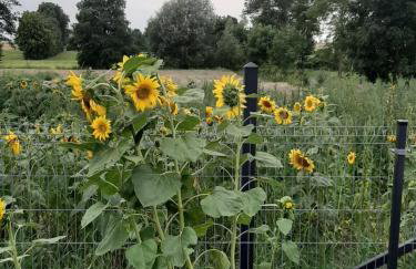 Podlaska Oaza - Dom całoroczny z sauną. - Foto 28
