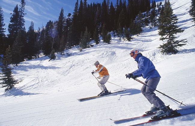 White Pines 1-BD Penthouse at Westgate - Tycoon - Photo 16