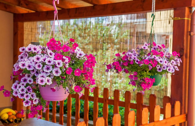 Apartments Anita - Foto 41