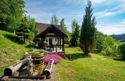 Holiday house with a parking space Lokve, Gorski kotar - 18226 - Foto 9