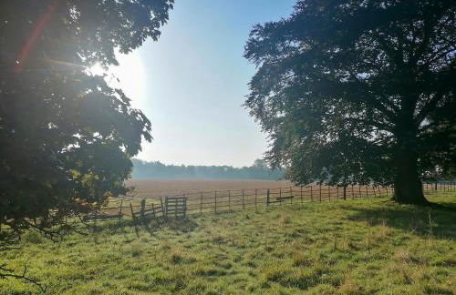 Apple Loft - Foto 11