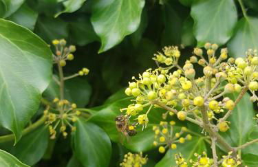 Casa Rural Rincón - Foto 38